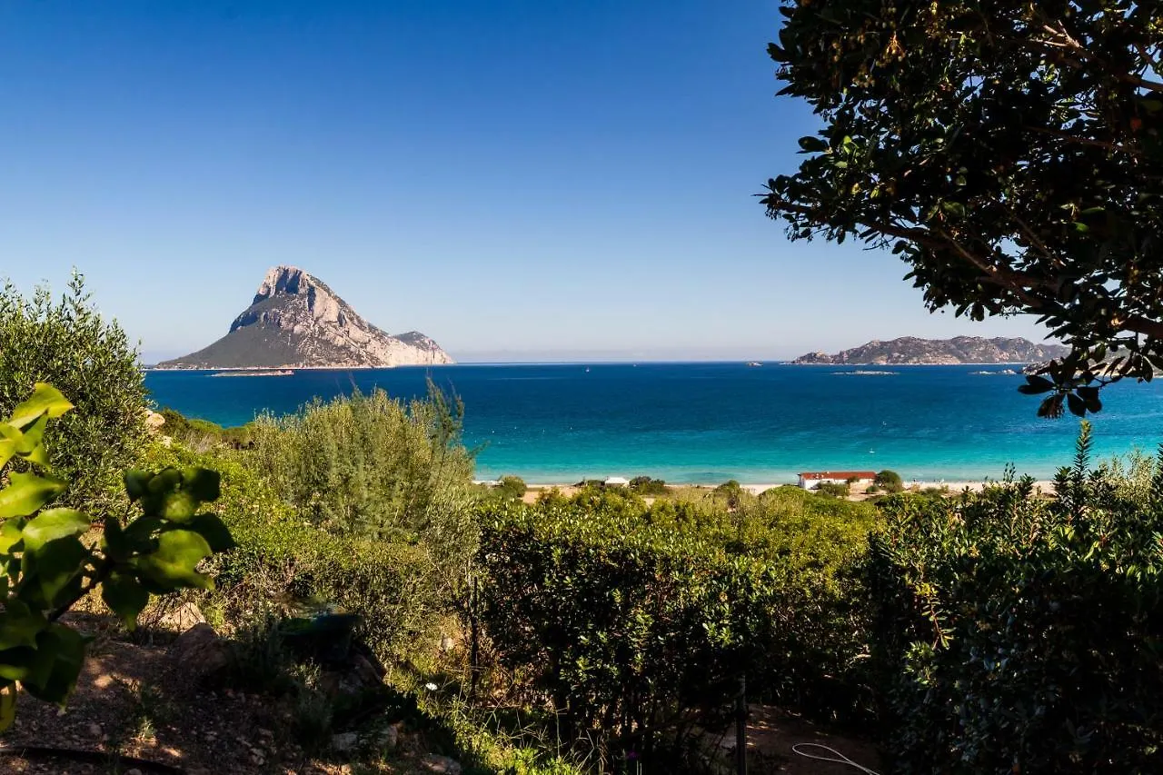 Holiday home Molarotto Villa Porto Taverna Italy